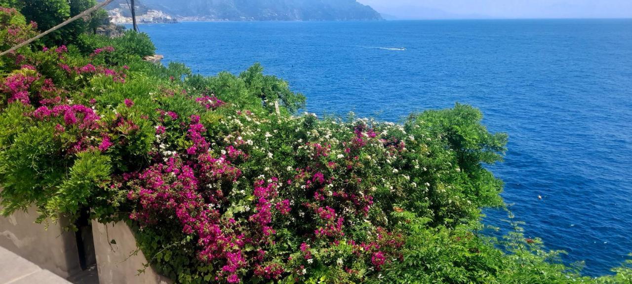 Villa Gianna Amalfi Coast Conca dei Marini Extérieur photo